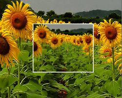 Bilder Zoom-Funktion mit CSS